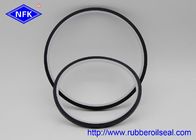 SPI Fixed Combined Piston Seal BRN TPFE For Hydraulic Cylinder