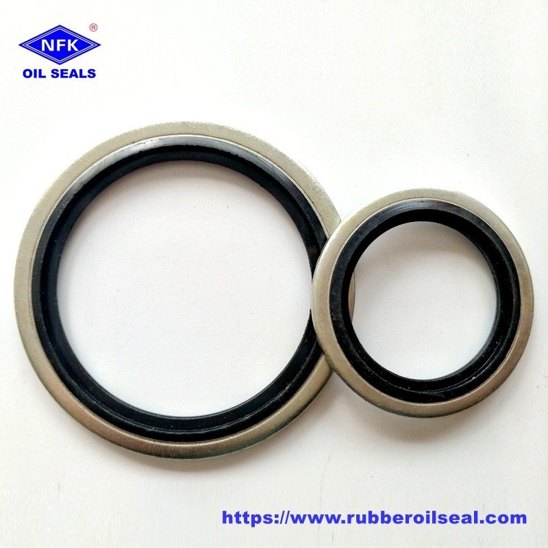 1/2" BSP 316 NBR+Stainless Steel Gear Pump Dowty Seal FKM/Nbr Rubber Bonded oring seal