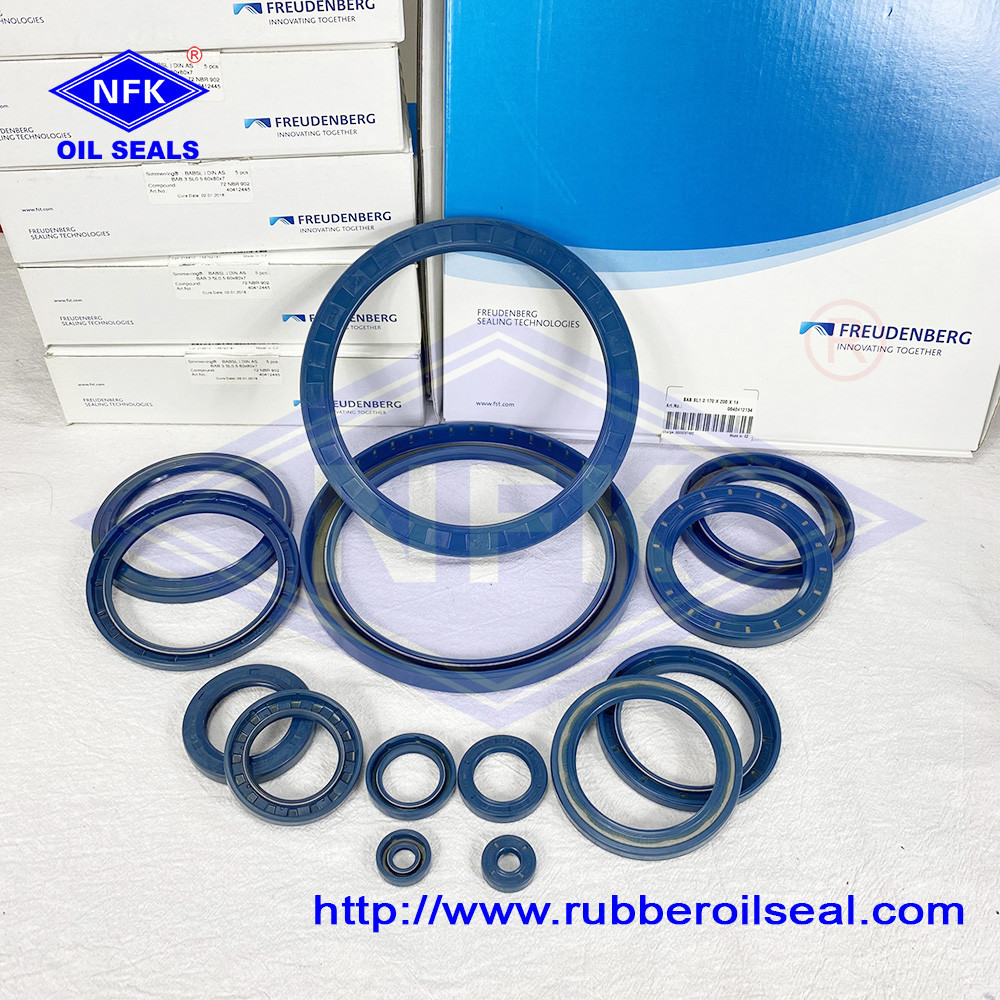 100 Original Germany Cfw Babsl Nbr O Rings Rotary Shaft Seals High