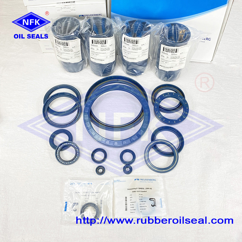 100 Original Germany Cfw Babsl Nbr O Rings Rotary Shaft Seals High