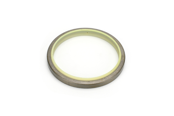 Dsi Lbi Lbh Dust Wiper Seal Hydraulic Oil Seal For Machinery