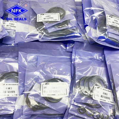 NFK SAI GM2 Series NBR Material Pneumatic Seal Kit For Hydraulic Motor Maintenance