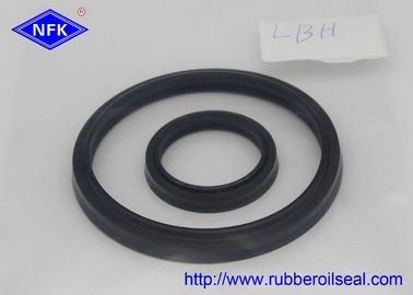 Cylinder Rod Rubber Dust Seal DSI LBI LBH VAY DH Different Type High Temp Resistant