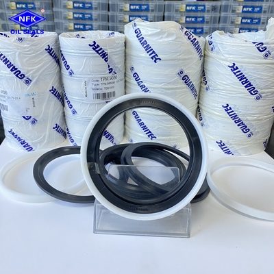 TPM NBR Combination Oil Seal Hydraulic Cylinder Tpm Das Dbm Compact Piston Oil Ring