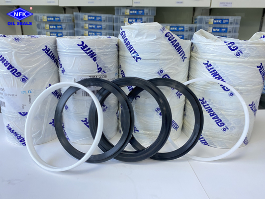 TPM NBR Combination Oil Seal Hydraulic Cylinder Tpm Das Dbm Compact Piston Oil Ring
