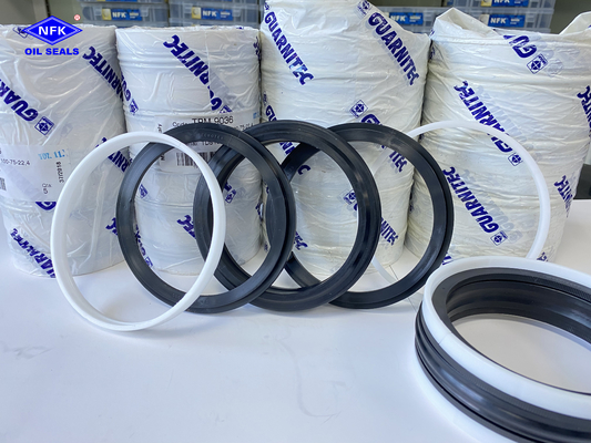 TPM NBR Combination Oil Seal Hydraulic Cylinder Tpm Das Dbm Compact Piston Oil Ring