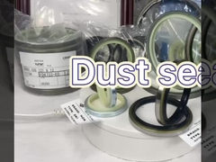 Cylinder Rod Rubber Dust Seal DSI LBI LBH VAY DH Different Type High Temp Resistant