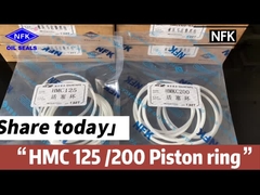 Marine Motor Piston Rings Seal kit