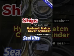 Marine Oil Seals Ship Hydraulic Steel Hatch Cover Cylinder Repair Seal Kits
