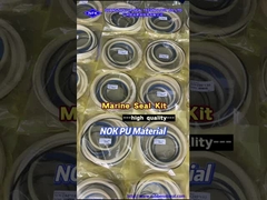 Marine Oil Seals Ship Hydraulic Steel Hatch Cover Cylinder Repair Seal kit